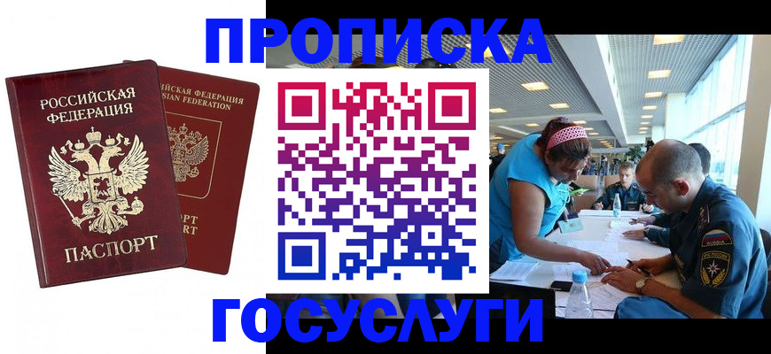 прописка поиск в Павловске